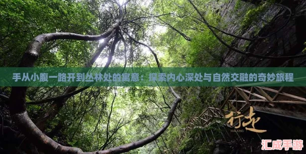 手从小腹一路开到丛林处的寓意