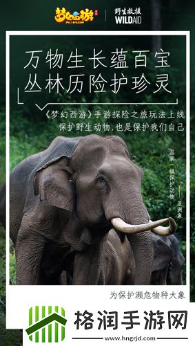 梦幻西游手游携手WildAid打造野生动物保护新玩法