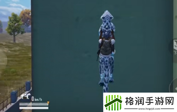 和平精英动物丛林雪豹在哪里