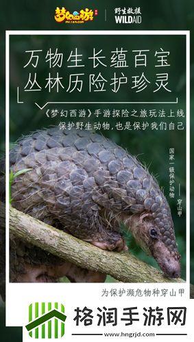 梦幻西游手游携手WildAid打造野生动物保护新玩法