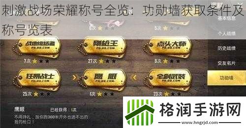 刺激战场荣耀称号全览