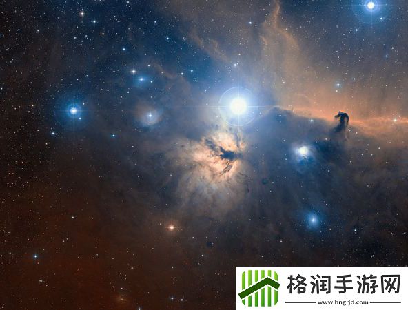 npc大佬每天的浇灌日常都有哪些有趣的事情能够传递给我们