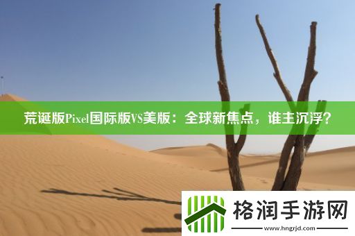 荒诞版Pixel国际版VS美版