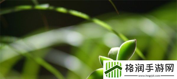 国产尺码和欧洲尺码表2022