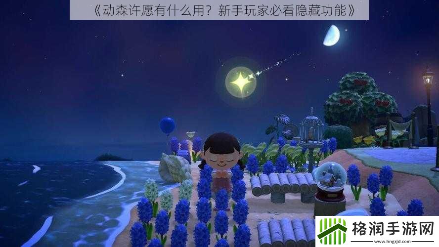 动森许愿有什么用新手玩家必看隐藏功能