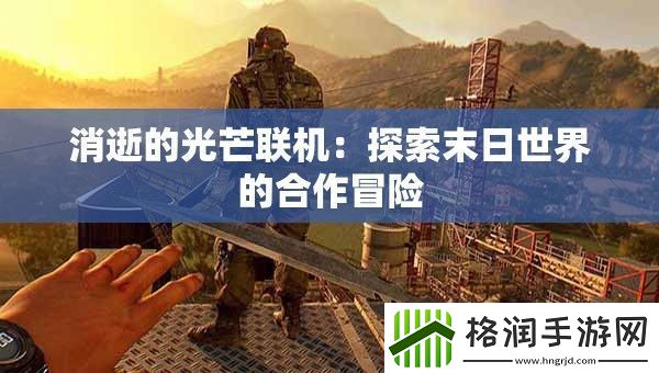 消逝的光芒联机