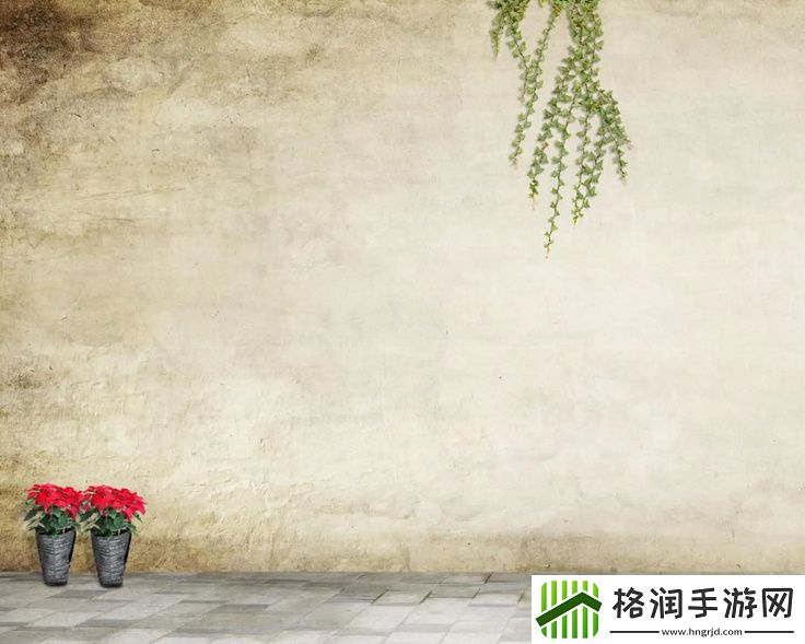 欧洲尺码日本尺码专线美国t的全方位解读与比较分析