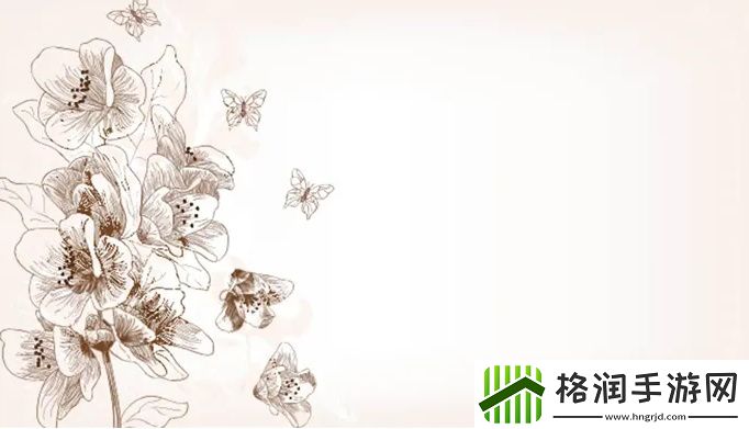 亚洲尺码最受欢迎的是哪些品牌与标准解析