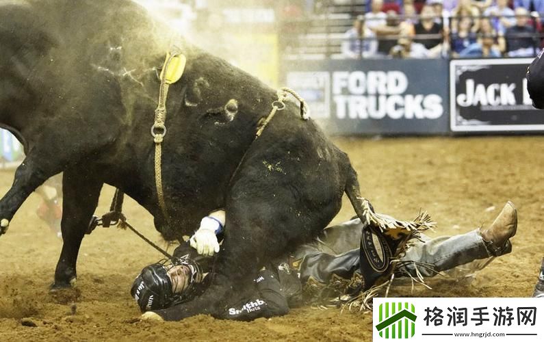 人马畜禽company最新