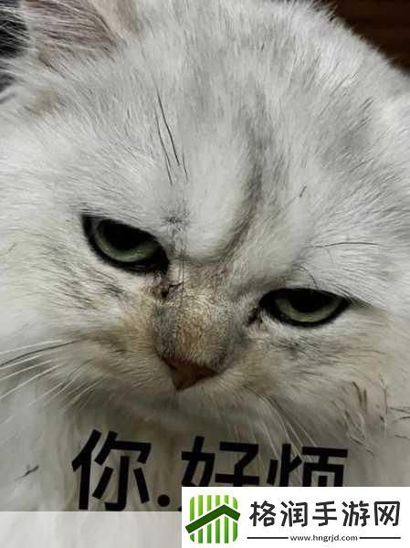 你干嘛哈哈哎哟