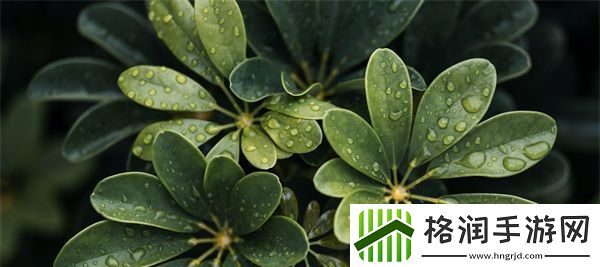 青椒影视2.6.5版本评测