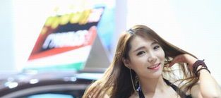 wordpress成品网站