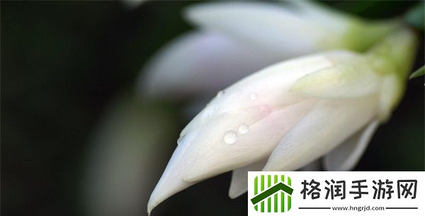 国产max323芯片的市场应用