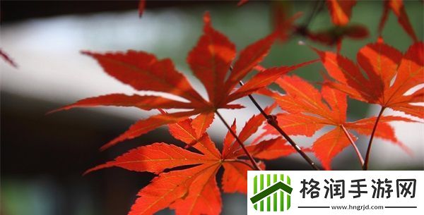 你叫的越大声我就越兴奋是什么歌词