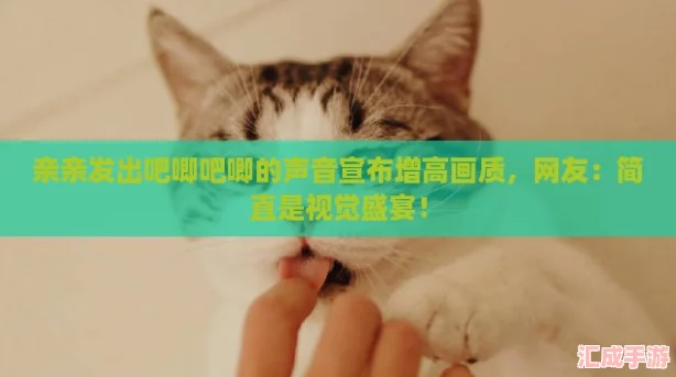 亲亲发出吧唧吧唧的声音宣布增高画质