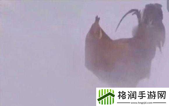 女子用嘴巴吃鸡破吉尼斯纪录