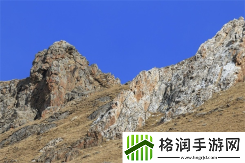 天涯明月刀手游携手99公益日邀你“益”起来守护雪豹