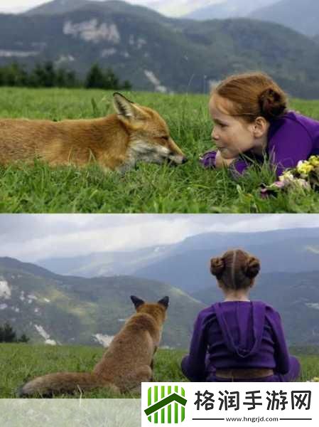 独家揭秘！BitHunters