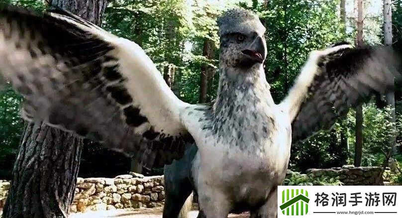 海格给巴克比克取了什么新名字