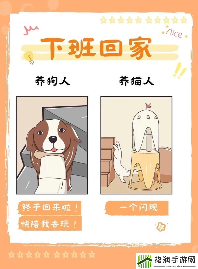 猫咪狗狗共舞家居生活新境界