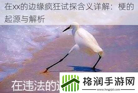 在xx的边缘疯狂试探含义详解