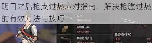 明日之后枪支过热应对指南