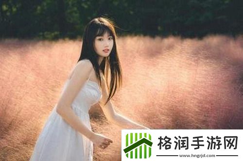 四叶草m码和欧洲码的888区别