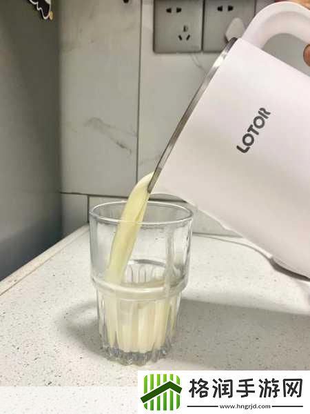 折腾了一个多小时才弄出来的豆浆