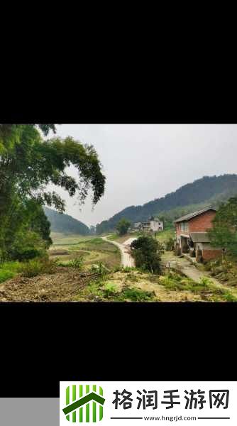 你们城里人真会玩我需要回农村