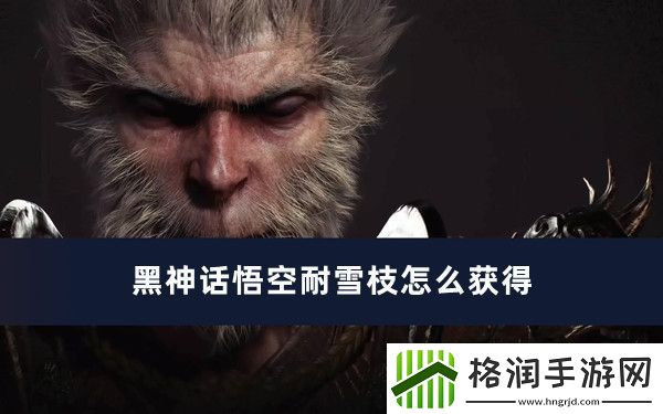 黑神话悟空耐雪枝怎么获得