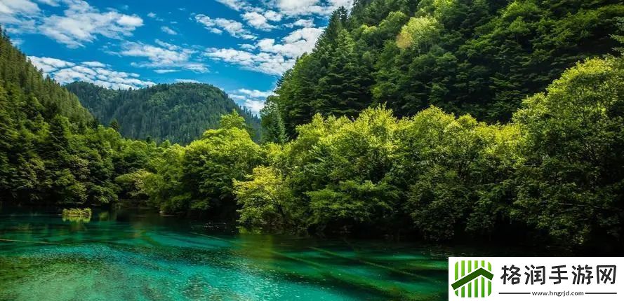 厨房一次又一次的索要刷碗总图片