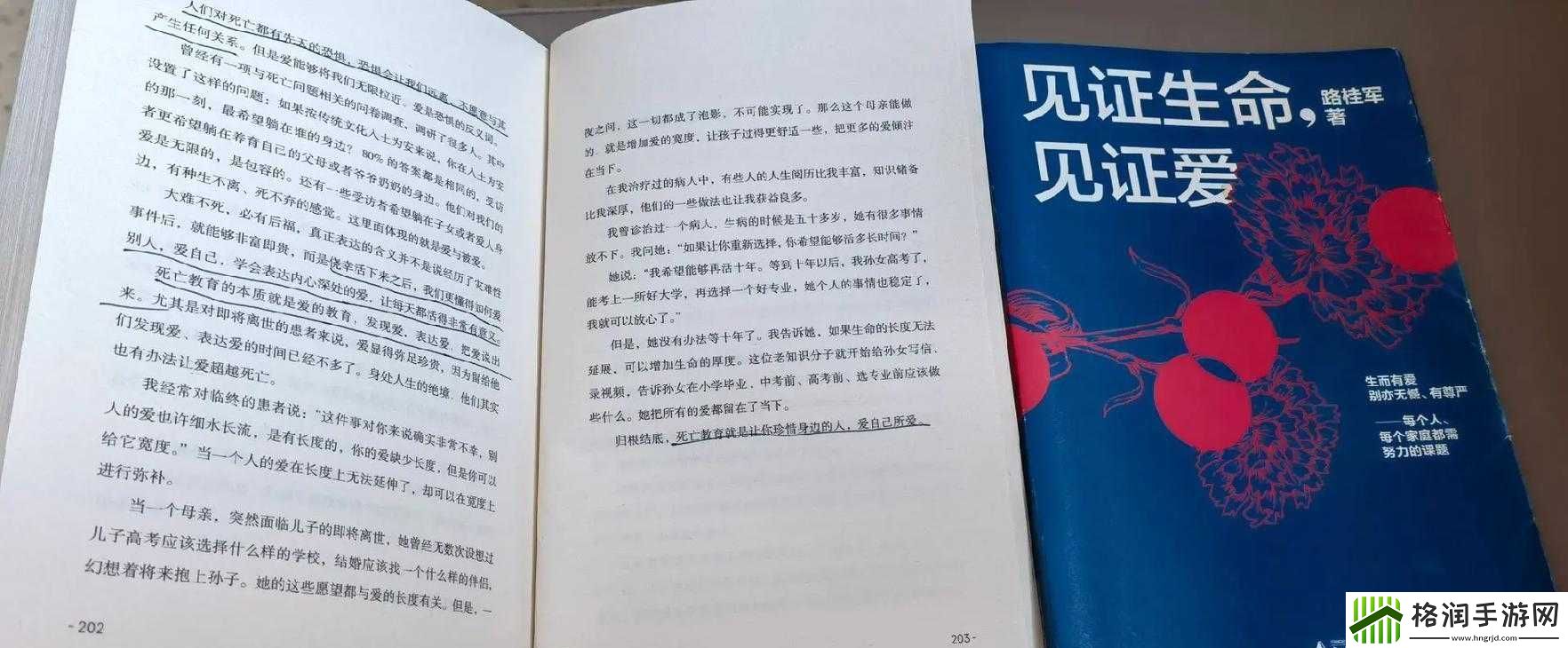 深入浅出小说的沈初阳
