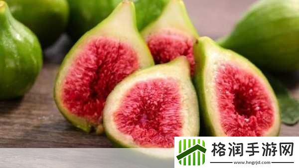 小鸡宝宝考考你无花果为什么被叫做无花果