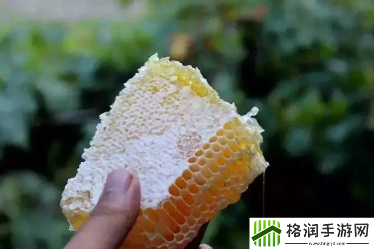 恶魔不待见蜜蜂风暴的效用如何