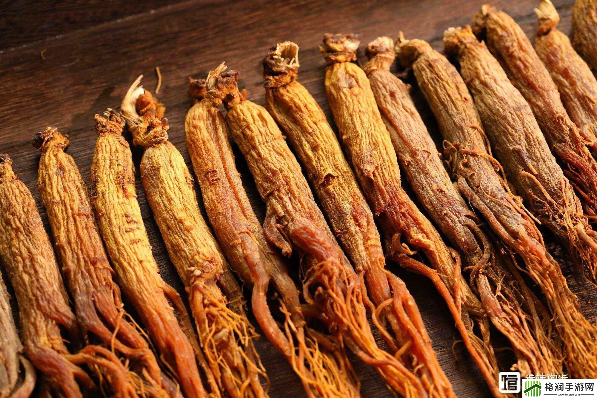 “丰年继拇中文3”揭秘