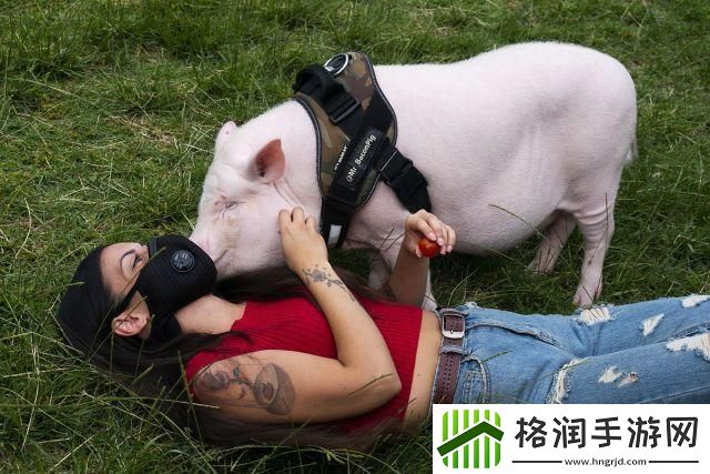 科技界的“网红”