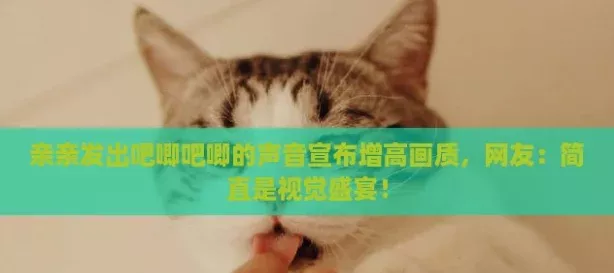 亲亲发出吧唧吧唧的声音宣布增高画质