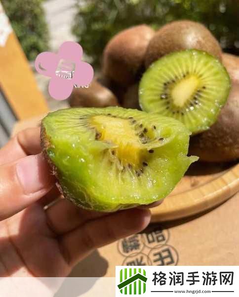 猕猴桃为什么没成熟就要摘
