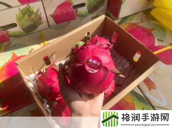 红心白心火龙果哪个更甜小鸡庄园课堂今日答案