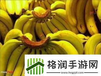 国产无人区玫瑰香蕉