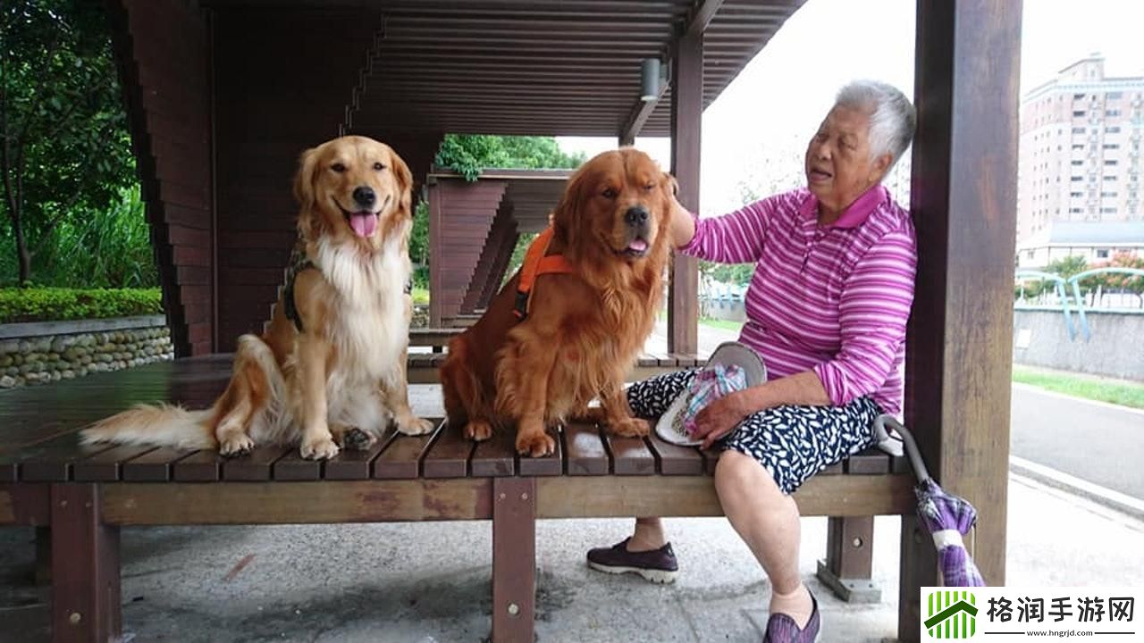 “汪星人与婆婆斗法