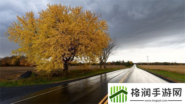 葡萄不准掉出来晚上检查