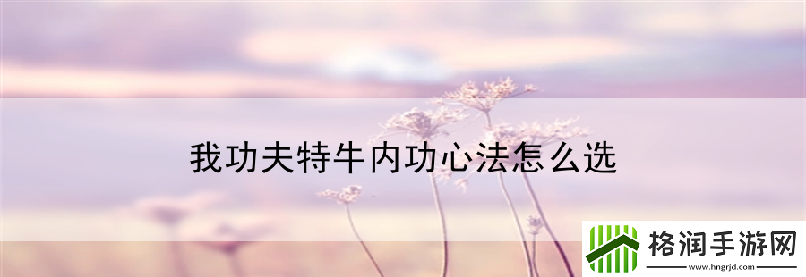我功夫特牛内功心法怎么选