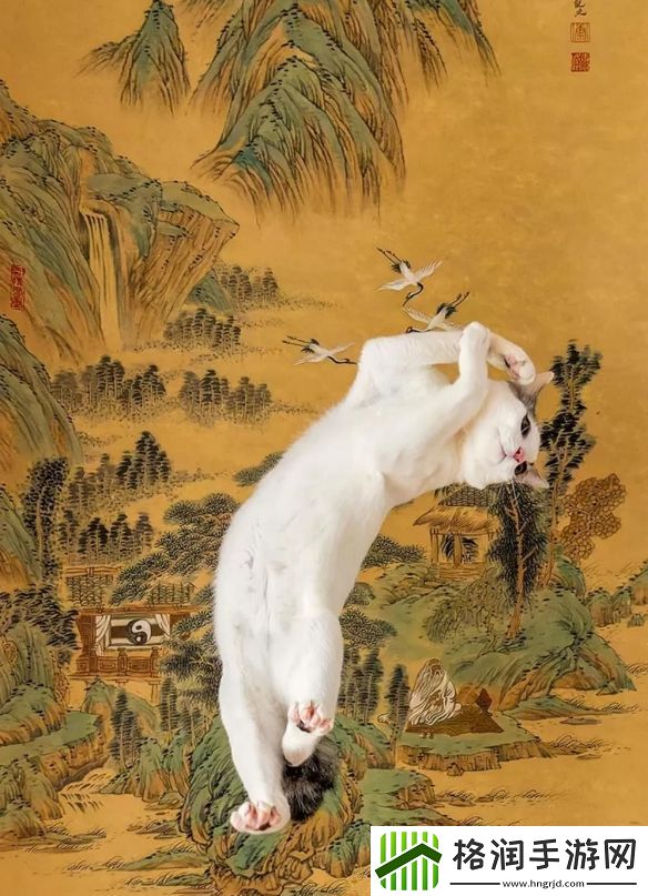 一年一度「搞笑宠物摄影大赛」