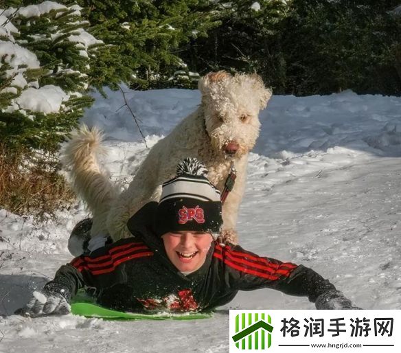 一年一度「搞笑宠物摄影大赛」