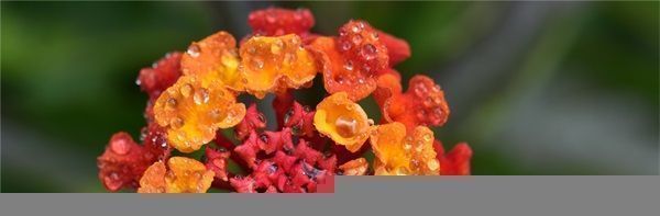 小扫货怎么这么会夹