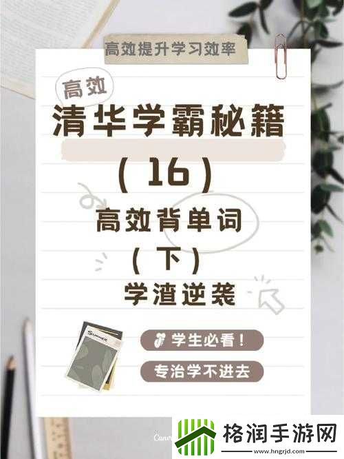 学渣坐在学霸鸡上背单词打造国产模块之学习秘籍