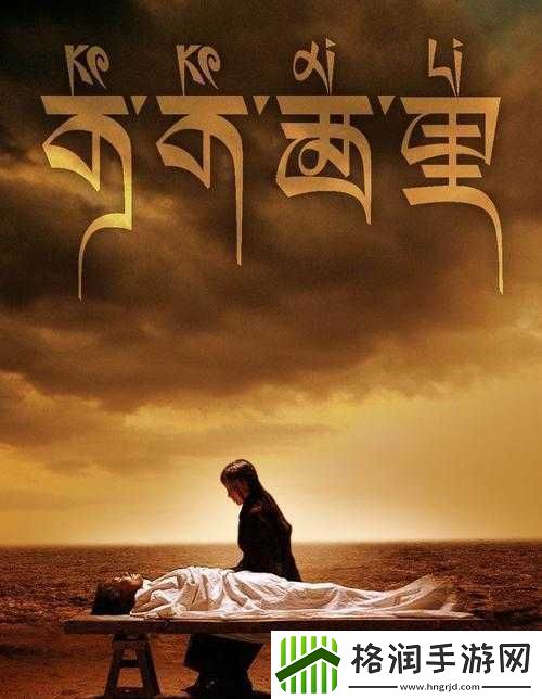 可可西里大但人文艺术