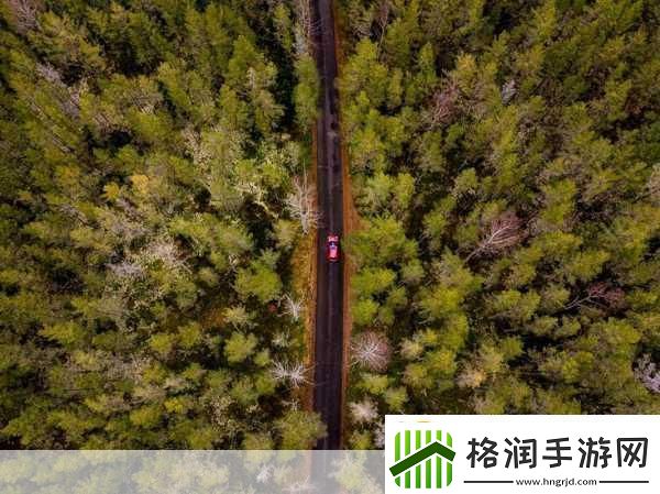 手游新视界姚安娜跨界荣耀戛纳短片奖点燃玩家创意火花！