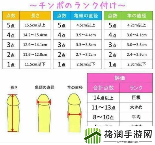 “硬度”新标准